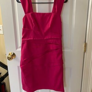 Express Pink Party Dress